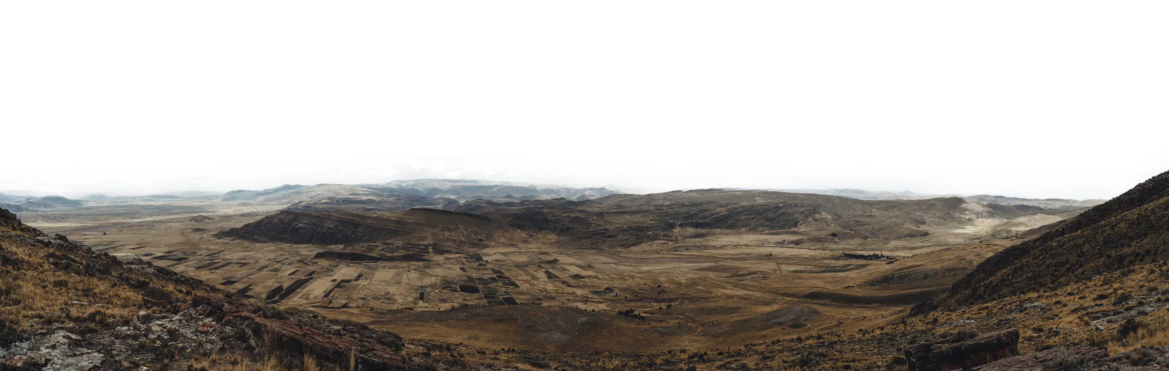 sorani