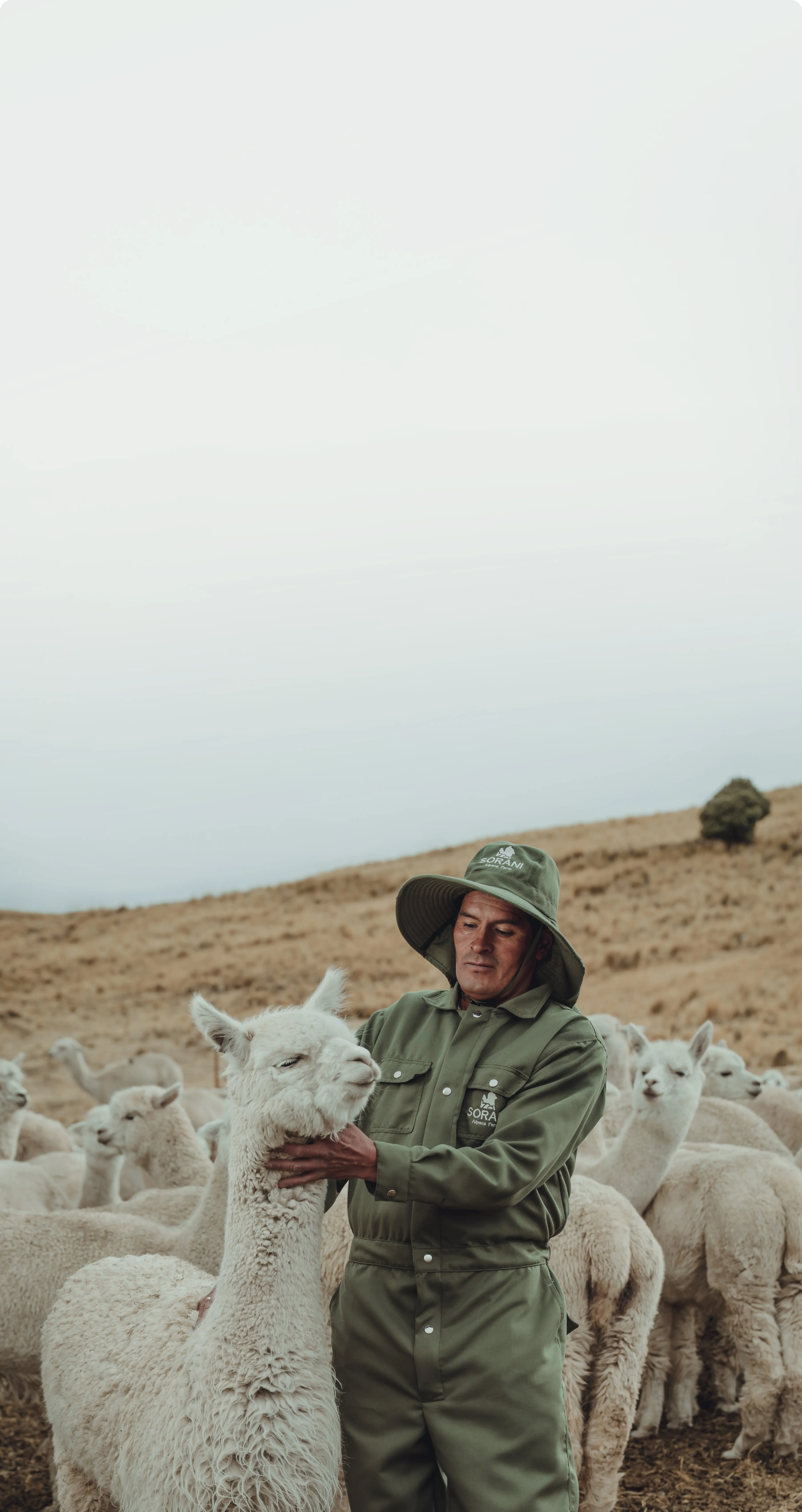 Sorani