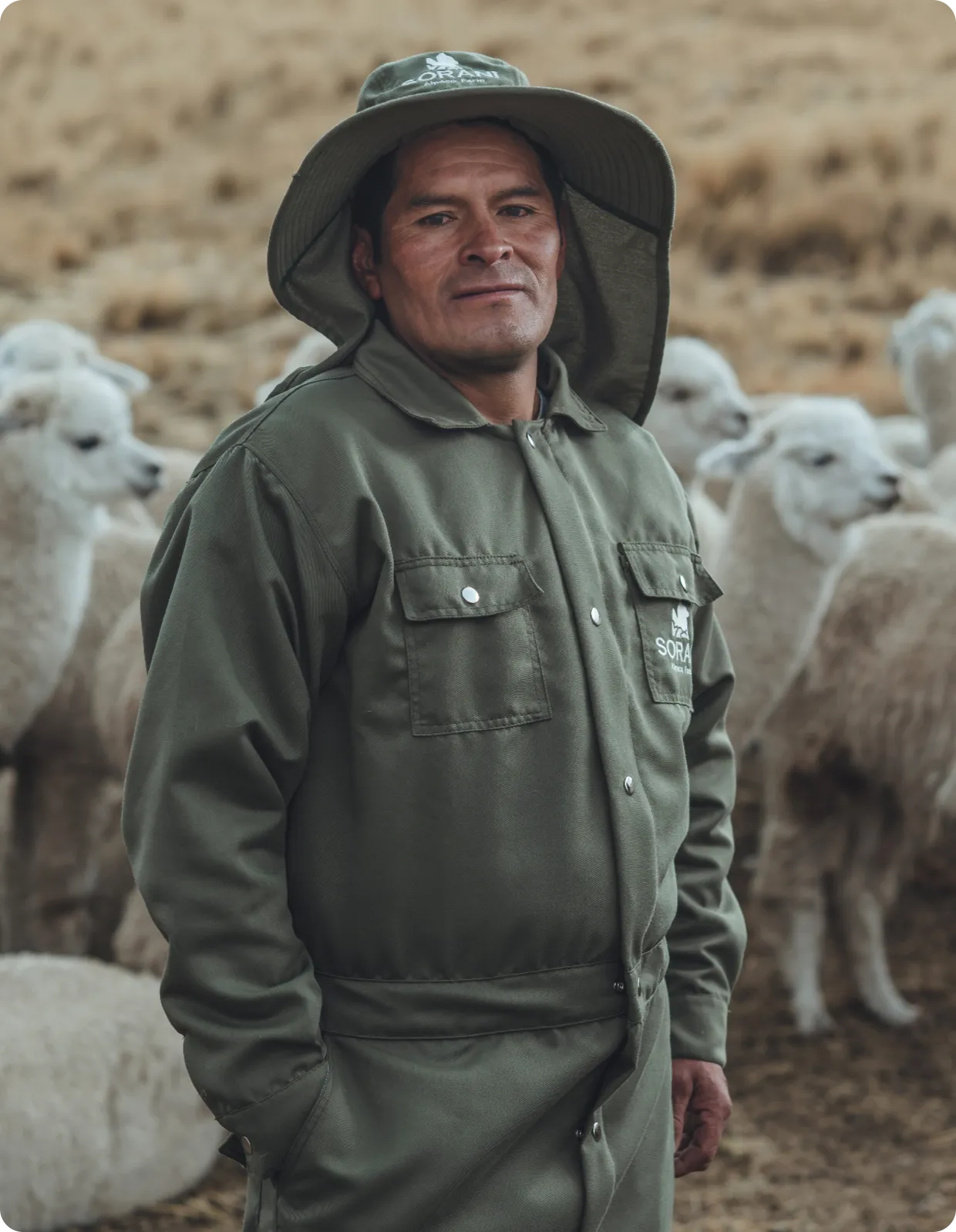 keeper alpaca