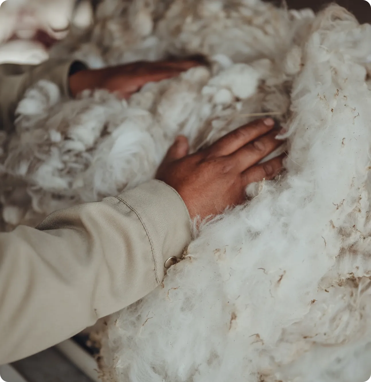 hands wool