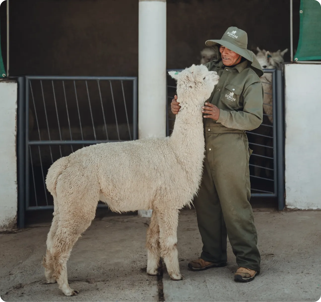 keeper alpaca